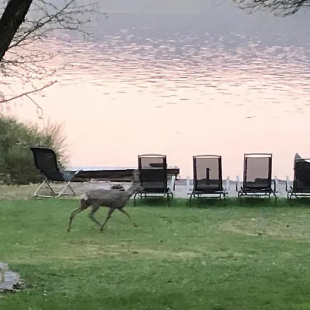 Rorvik Apartmán Svelvik