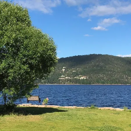 Rorvik