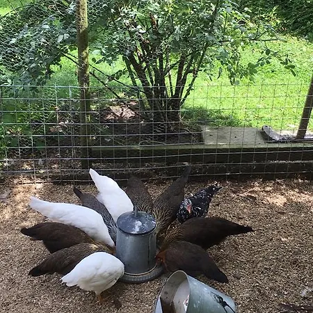 Apartmán Rorvik Svelvik