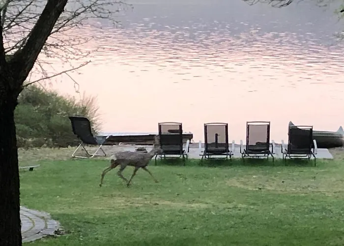 Rorvik 아파트 Svelvik