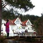 Rorvik