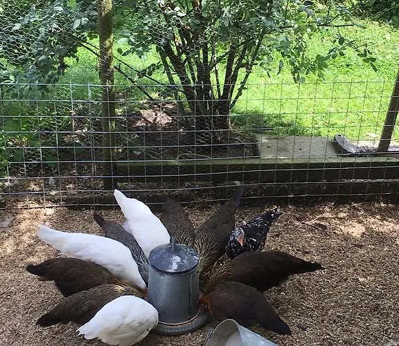 Apartamento Rorvik Svelvik